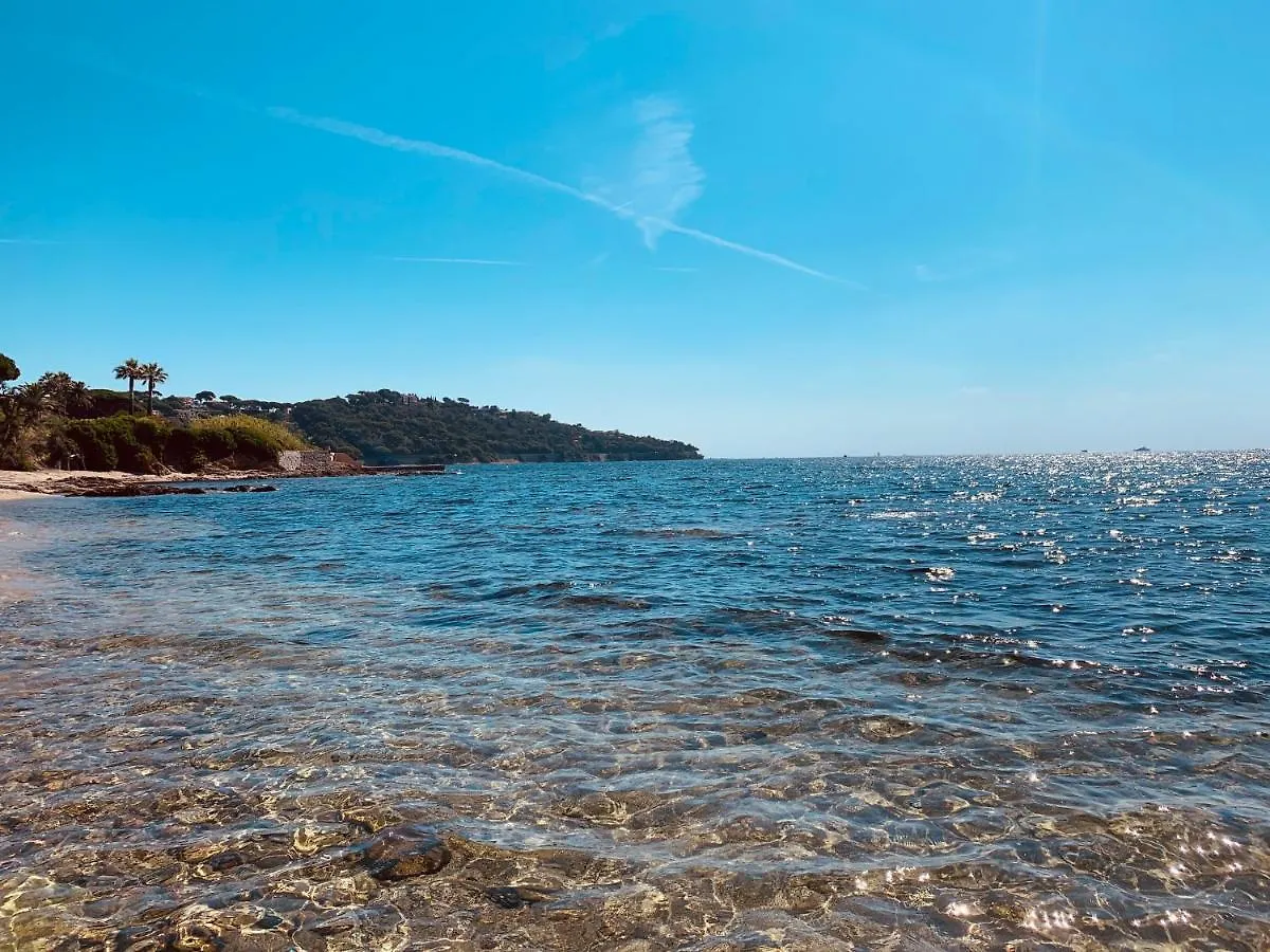 Le Latania Apartment Sainte-Maxime France