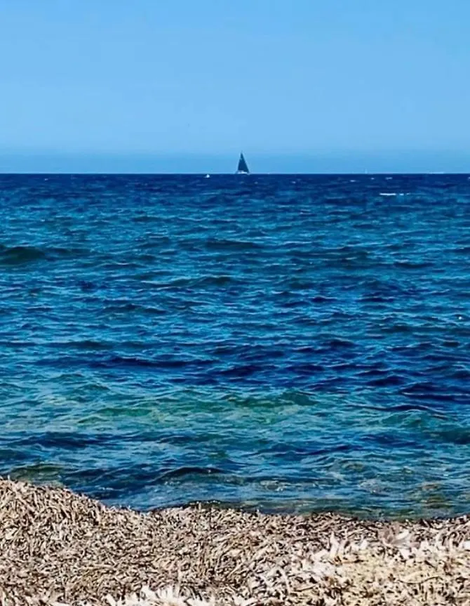 Le Latania Apartment Sainte-Maxime
